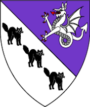 Arms Image